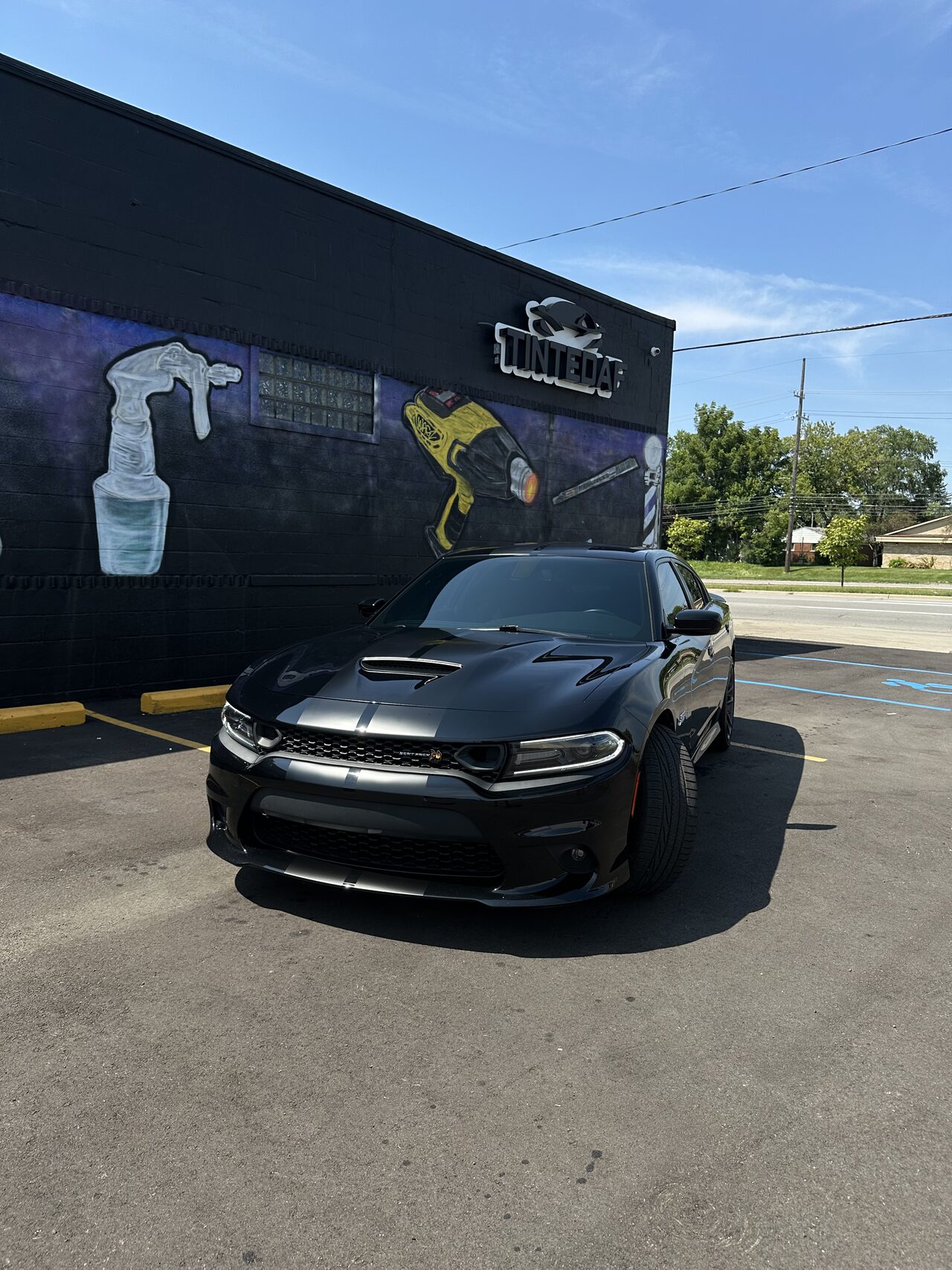 Auto Wrap Services in Michigan | TintedAF