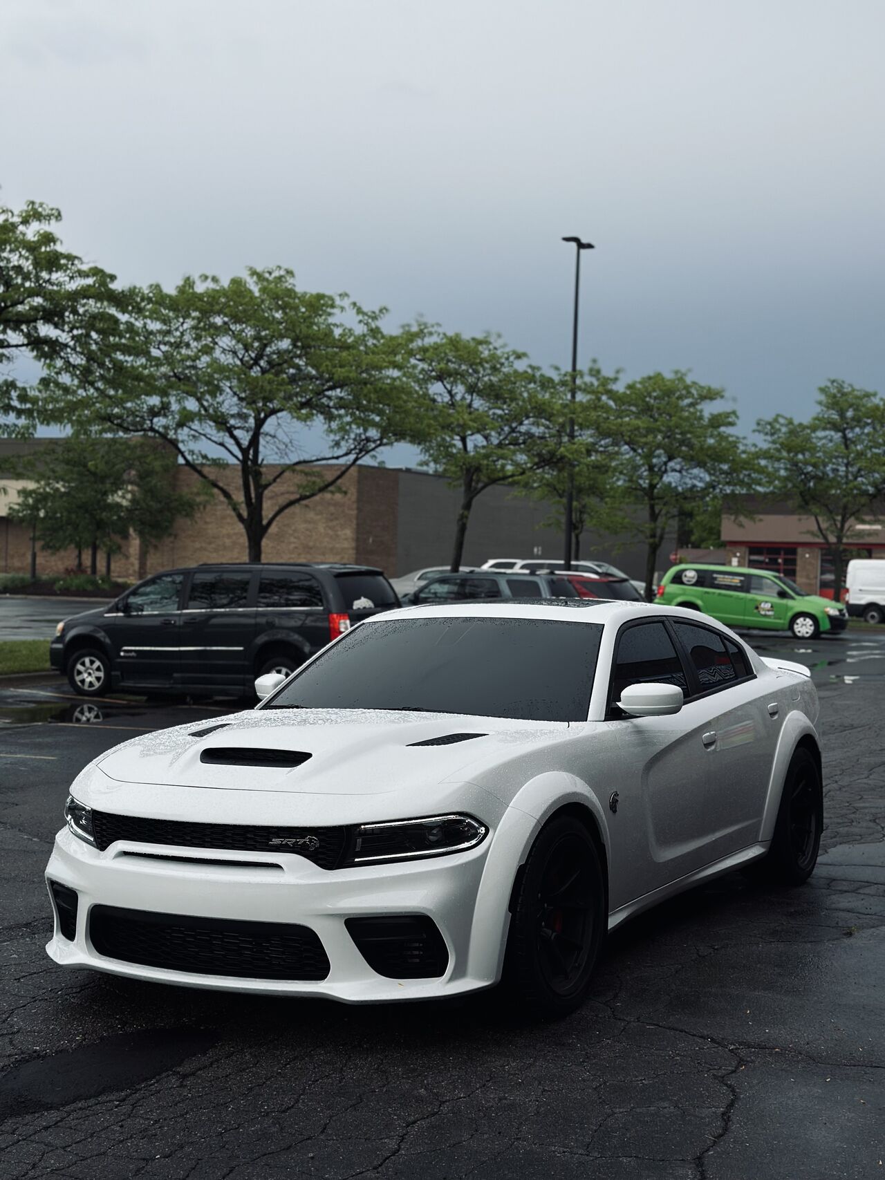 DYNOmatte Paint Protection Film and Carbon Window Tinting in Sterling Heights, MI | TintedAF