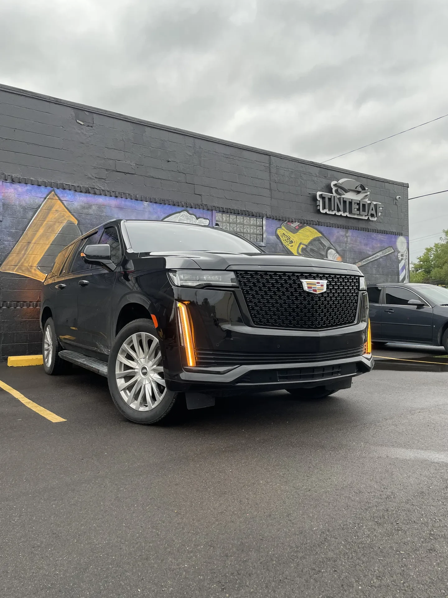 Professional Window Tinting Services at TintedAF