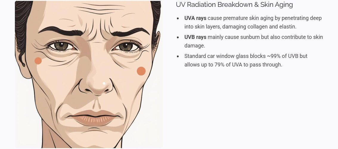 UV Radiation and skin aging